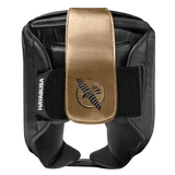 Hayabusa Hoofdbeschermer T3 met wang bescherming - Zwart/Goud