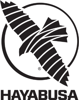 Hayabusa
